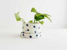 Load image into Gallery viewer, Planter - Blueberry