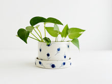 Load image into Gallery viewer, Planter - Blueberry