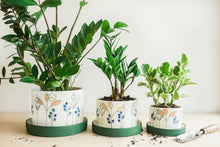 Load image into Gallery viewer, Floral Planters