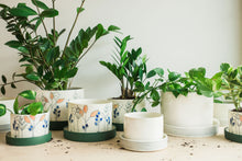 Load image into Gallery viewer, Floral Planters