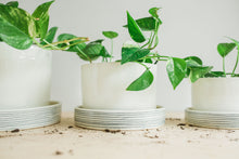 Load image into Gallery viewer, Planters - Pinstripe