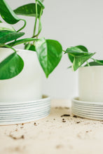 Load image into Gallery viewer, Planters - Pinstripe