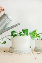 Load image into Gallery viewer, Planters - Pinstripe