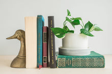 Load image into Gallery viewer, Planters - Pinstripe