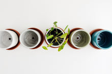 Load image into Gallery viewer, Earthenware Small Planter (PREORDER)
