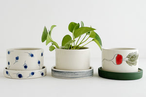 Planter - Radish