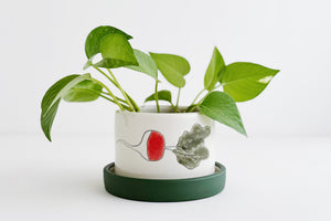 Planter - Radish