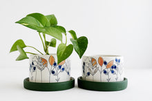 Load image into Gallery viewer, Floral Planter
