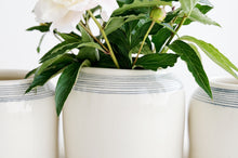 Load image into Gallery viewer, Porcelain Pinstripe Vase
