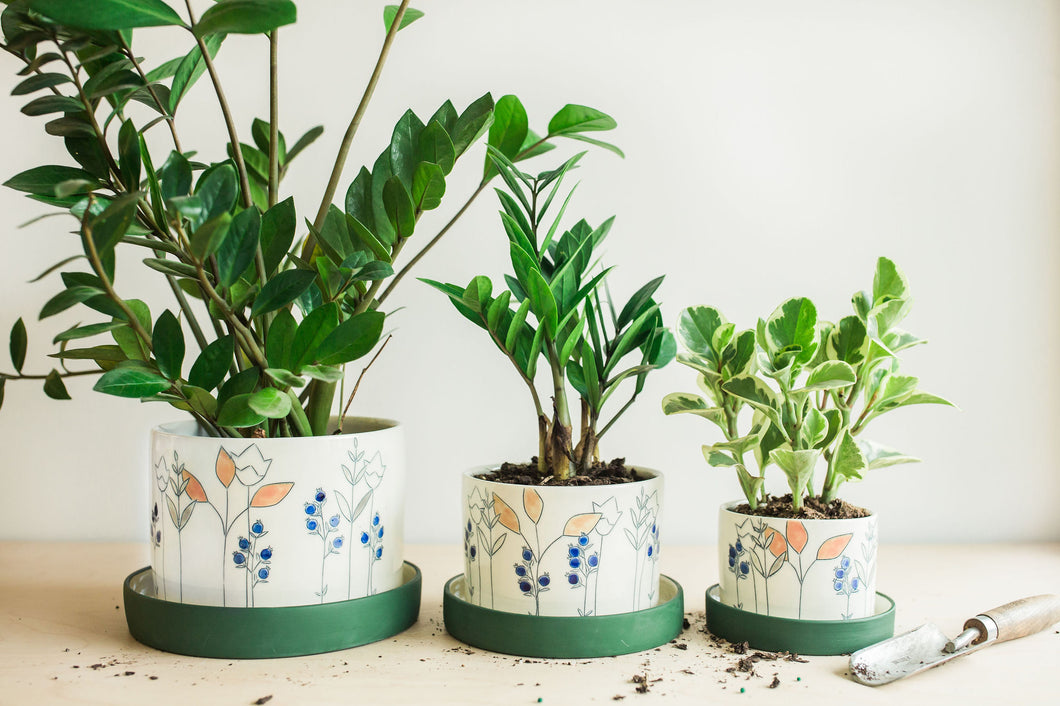 Floral Planters